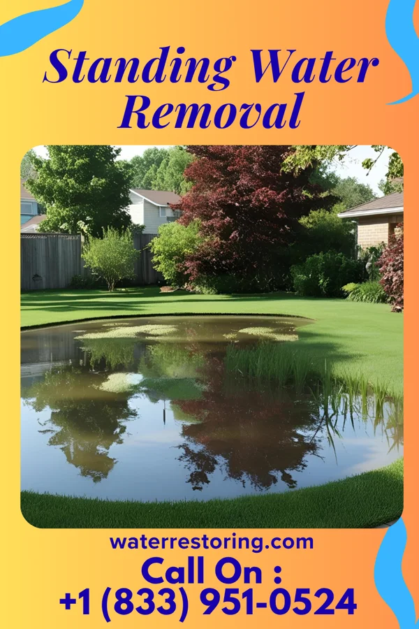 Standing Water Removal in Ganado, TX